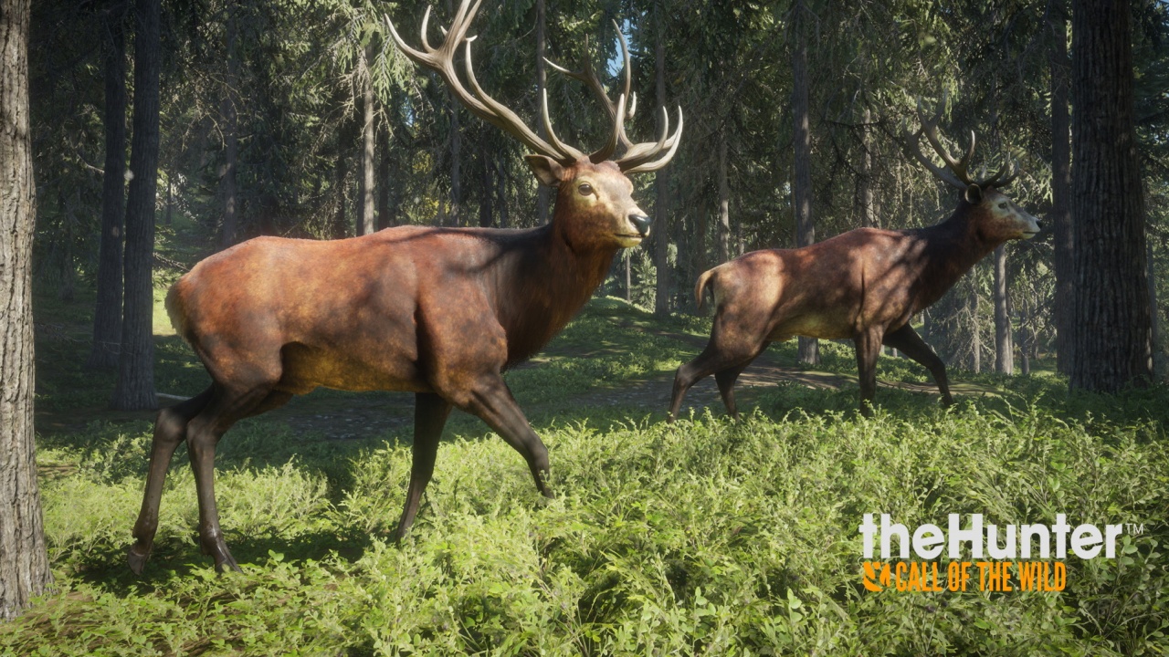 theHunter : Call of the Wild v1.0-v1898534 (+15 Trainer)