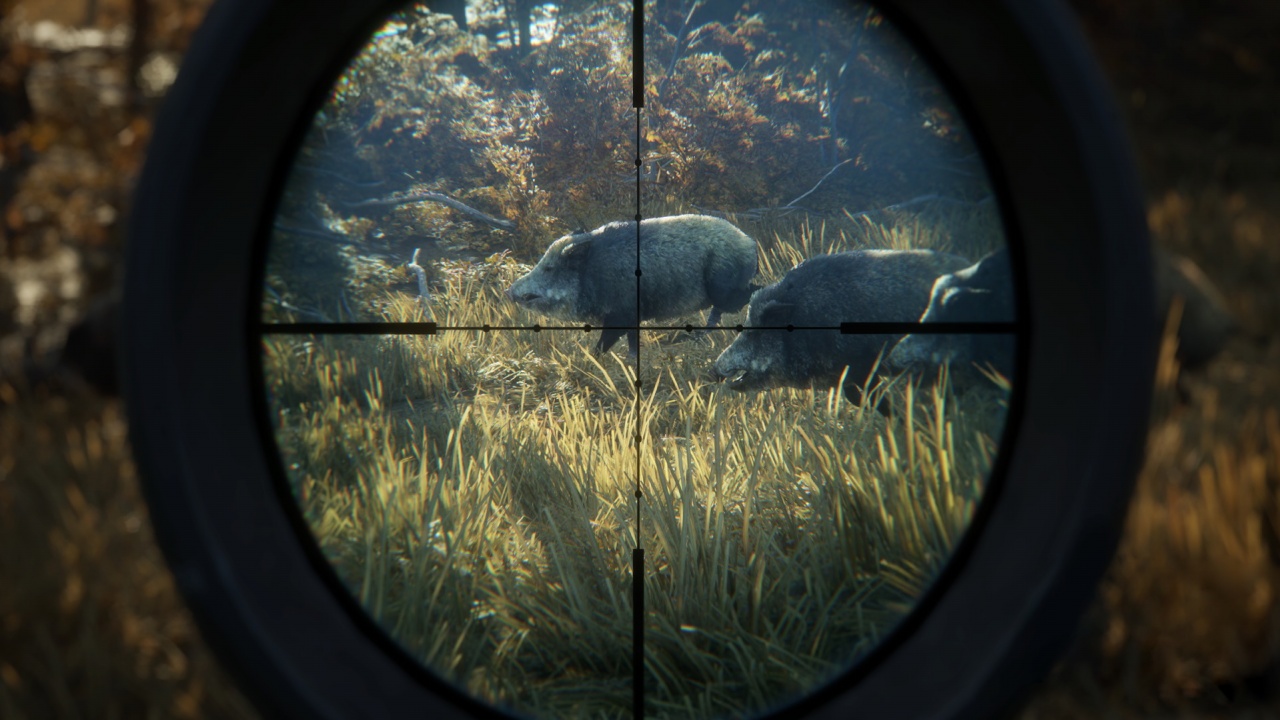 theHunter: Ruf der Wildnis v1.0-v1898534 (+15 Trainer)