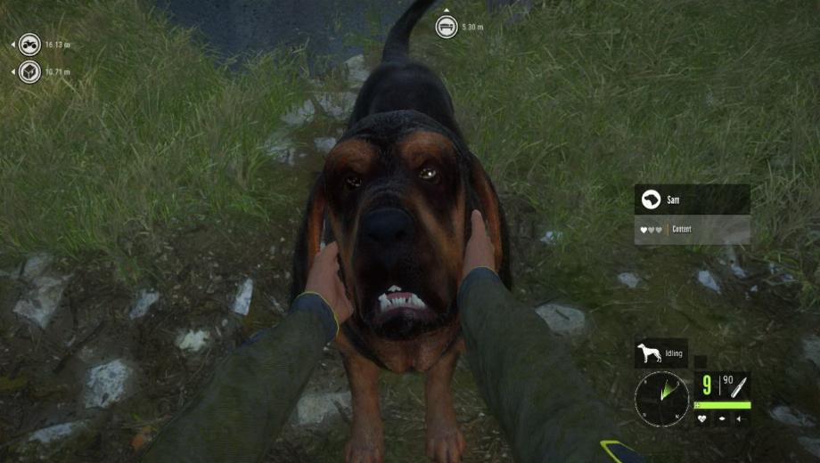 theHunter: Call of the Wild v1.0-v2175916 (+15 Trainer)
