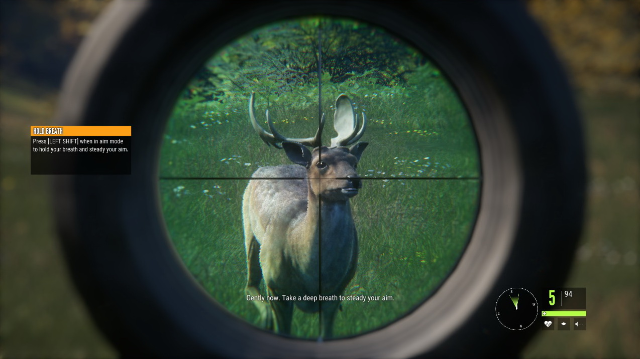 THEHUNTER : CALL OF THE WILD V1.14 (+13 TRAINER)