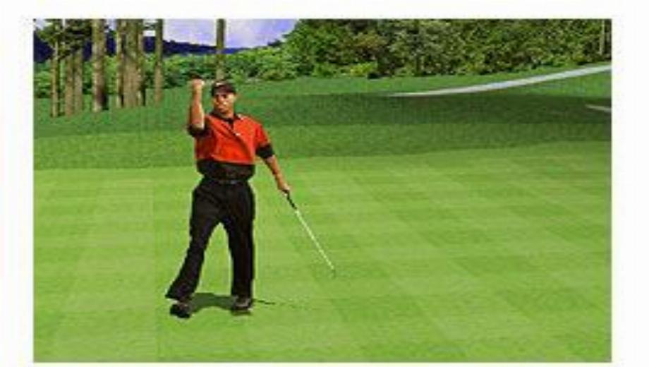 Tiger Woods PGA Tour 2001