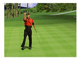 Tiger Woods PGA Tour 2001