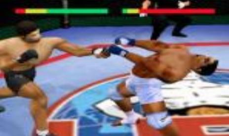 This Ain’t For Wimps – The Ultimate Fighting Championship