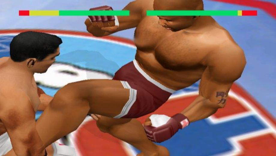 This Ain’t For Wimps – The Ultimate Fighting Championship