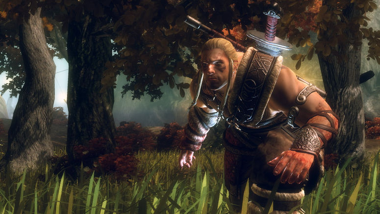 5 New Viking: Battle For Asgard Screenshots
