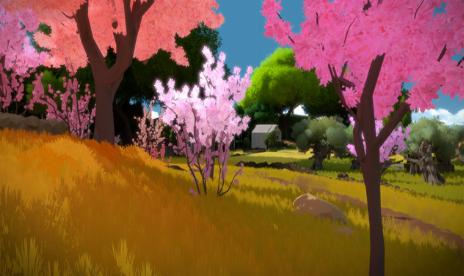 Pre-order The Witness now for $40
