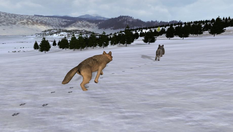 WolfQuest