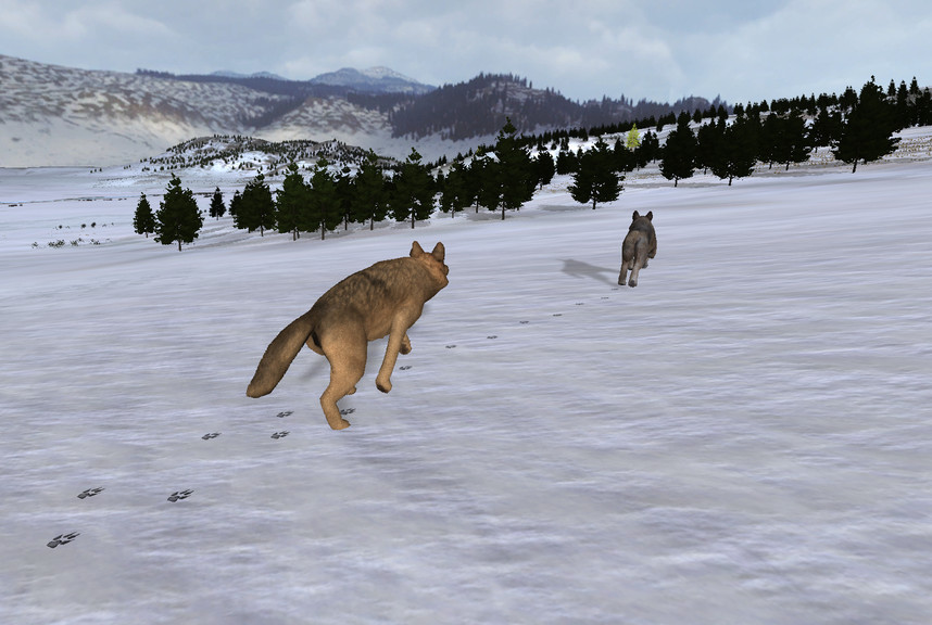 WolfQuest