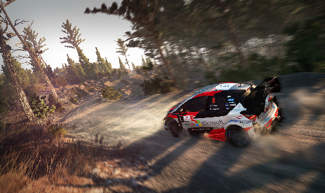 WRC 8 (+1 Trainer)