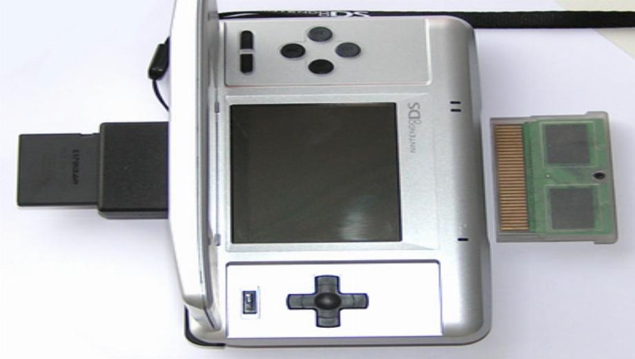 ELSPA Teams With Nintendo To Fight DS Piracy