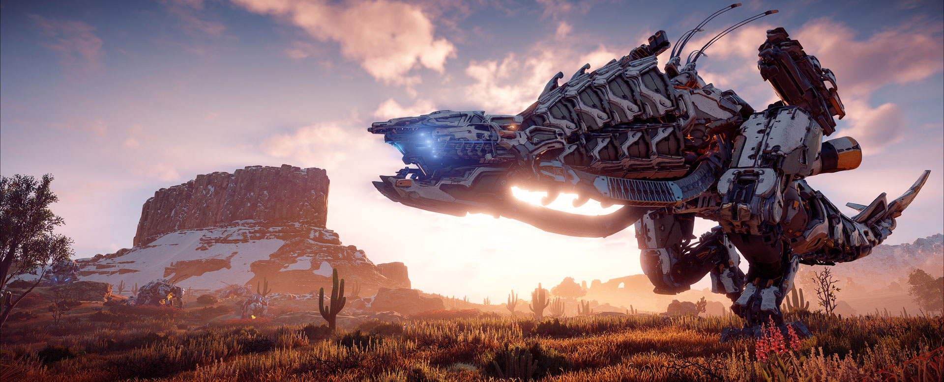 Horizon Zero Dawn sur PC ne sera pas aussi important que prévu