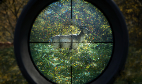 theHunter: Call of the Wild – The Best Maps