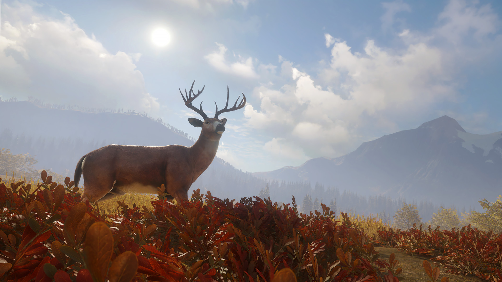 theHunter: Call of the Wild – The Best Maps