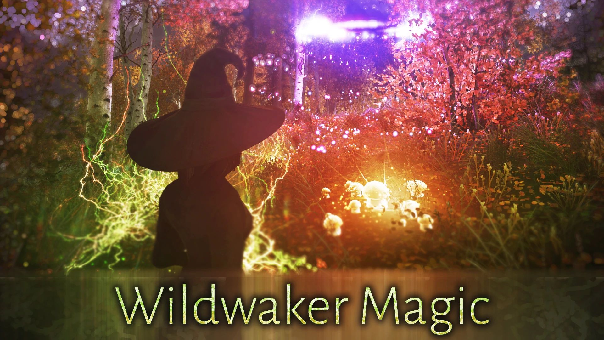 The Elder Scrolls V: Skyrim Special Edition Wildwaker Magic Mod v1.21