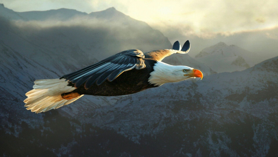 Fallout 4 I BELIVE I CAN FLY Mod v1.0