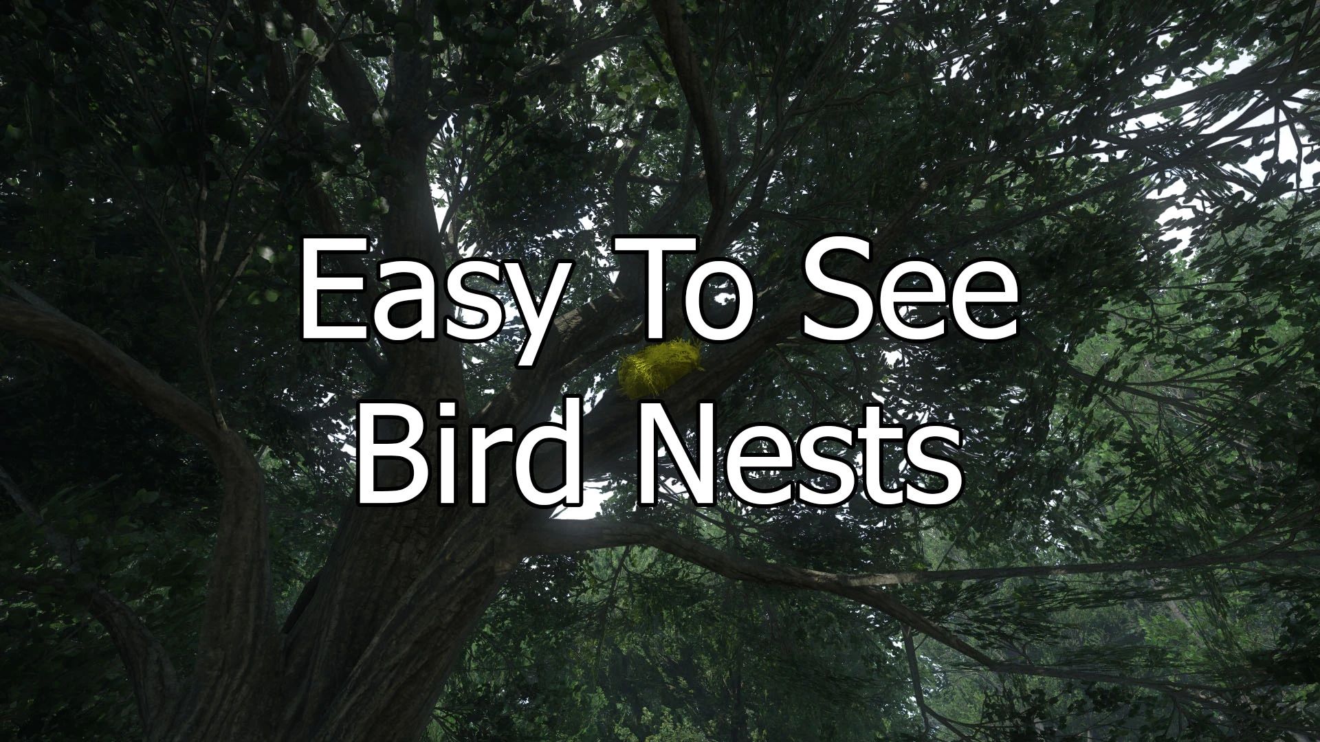 Kingdom Come: Deliverance II Easy To See Bird Nests Mod v1.1