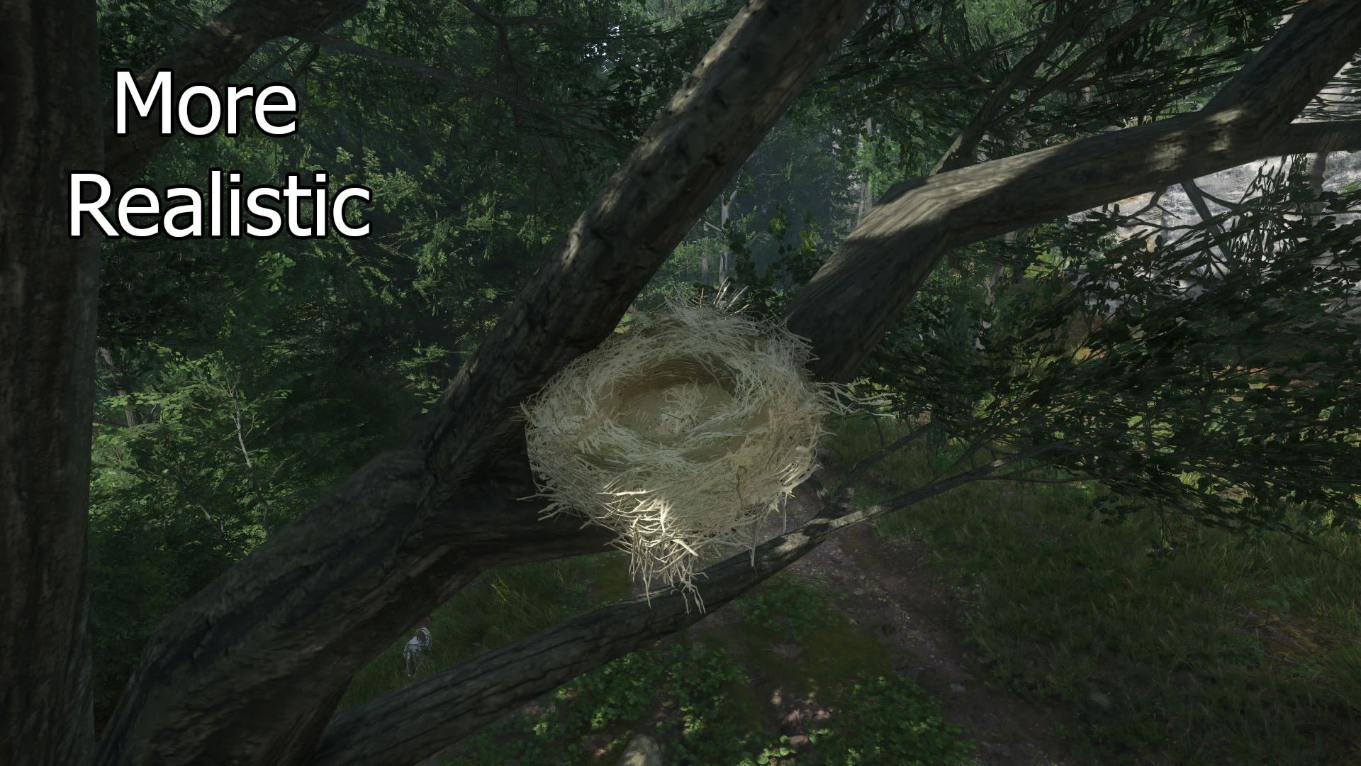 Kingdom Come: Deliverance II Easy To See Bird Nests Mod v1.1