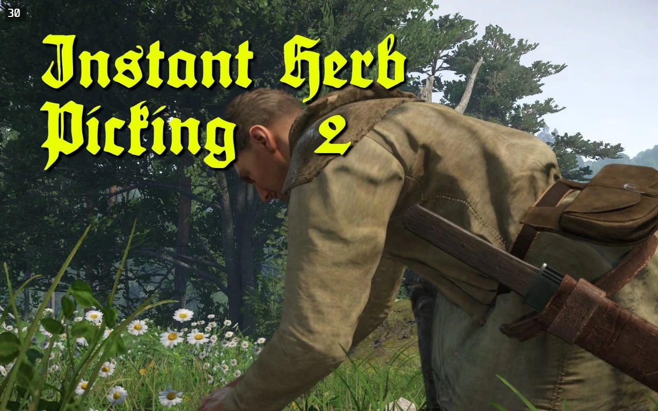 Kingdom Come: Deliverance II Instant Herb Picking II Mod v1.0