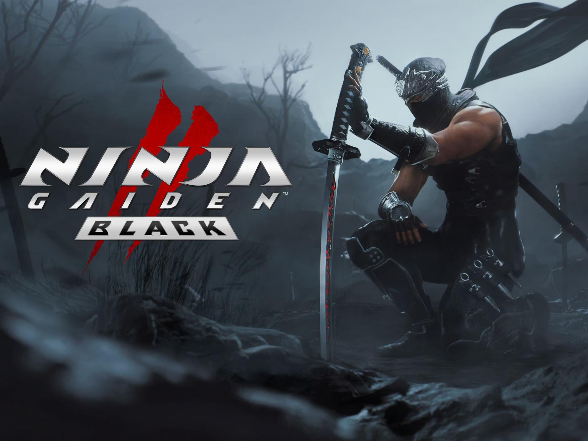 Ninja Gaiden 2 Black v1.0+ (+12 Trainer)