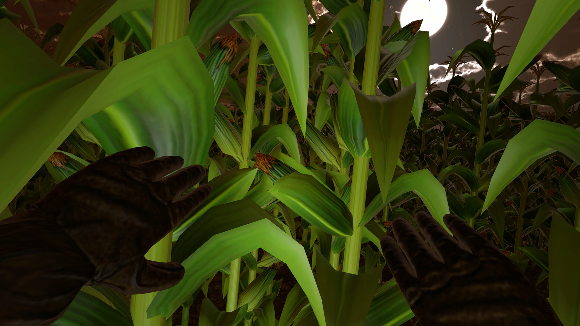 Zardy’s Cave v1.00.02 (+2 Trainer)