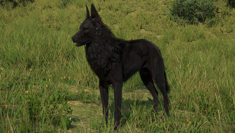 Kingdom Come : Deliverance II Hellhound PTF Mod v1.0