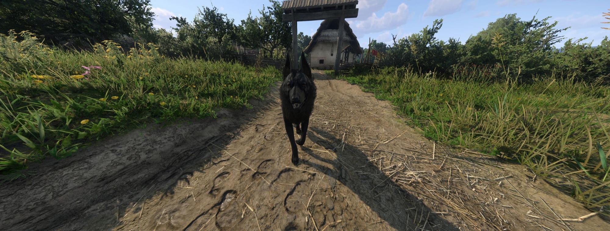 Kingdom Come : Deliverance II Hellhound PTF Mod v1.0