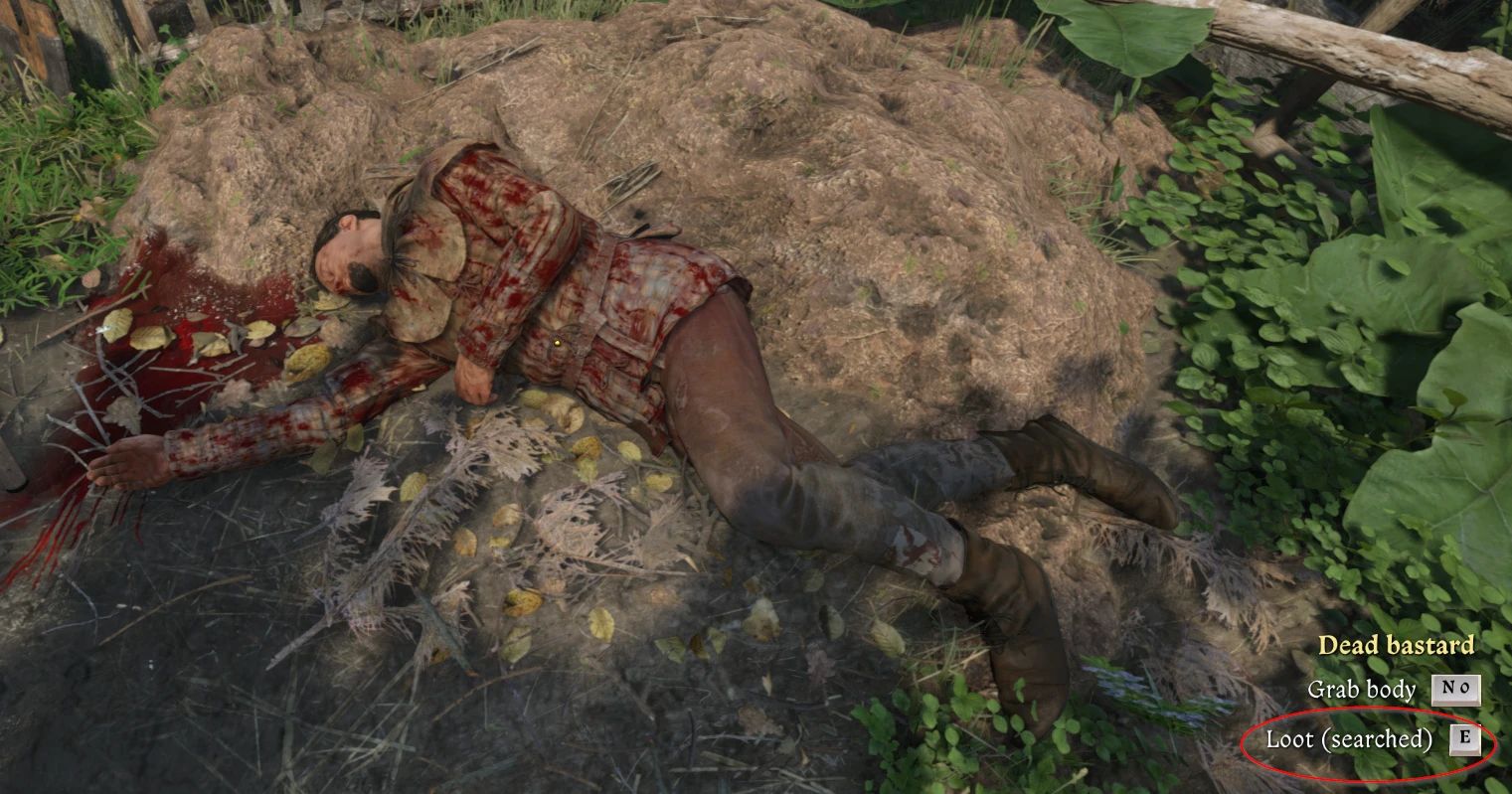 Kingdom Come: Deliverance II Loot Info – Container is empty or I already opened-looted it Mod v1.1.1