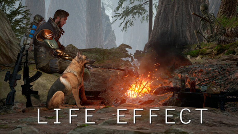 Life Effect