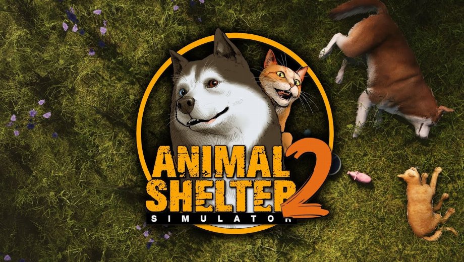 Animal Shelter 2