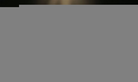 PLITCH Trainer for Lessaria: Fantasy Kingdom Sim